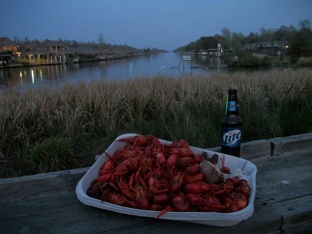 Cozy Cabin On The Bayou Maurepas Buitenkant foto